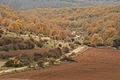 Ólvega, Soria (8188628991)