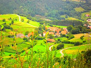 03-pedreo.JPG
