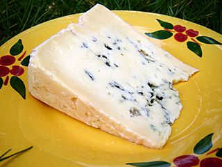 10 Bleu des Causses.JPG
