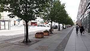 Archivo:20200708 135706 Lipowa Street in Białystok July 2020