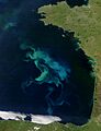 Bay of Biscay from Terra (2004-05-17)