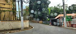 Carretera PR-730, Cayey, Puerto Rico (2).jpg