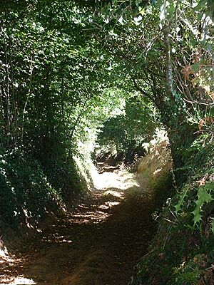 Archivo:Chemin creux