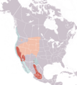 Clarks grebe distribution map