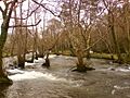Coristanco (Verdes), Galiza