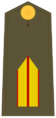Ejerespadivi10