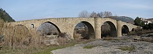 Archivo:El Pont de Vilomara - Pont gòtic