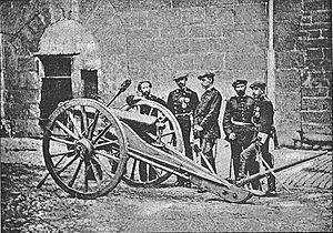 Archivo:Examen de un cañón carlista