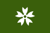 Flag of Iwakuni, Yamaguchi.svg