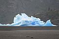 Glaciar Grey, Parque Nacional Torres del Paine, Chile6