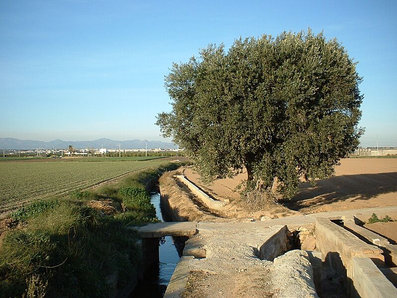 Huerta de Burjasot