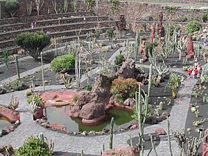 Archivo:Lanzarote Jardin de Cactus Kaktusgarten