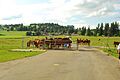 Le Bemont 020