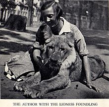 Lioness Kinuli with Vera Chaplina at the Moscow Zoo. Summer 1936.jpg