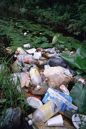 Archivo:Litter pollution in wetland area