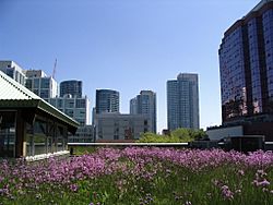 Archivo:MEC's green roof among others