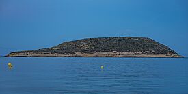 Mallorca Isla de sa Porrassa asv2023-04.jpg