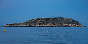Archivo:Mallorca Isla de sa Porrassa asv2023-04
