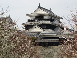 Archivo:Matsuyama Castle Tower 2 (Iyo) JAPAN