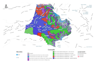 Archivo:Medio ambiente de Chile (2023) - comuna de Curacautín