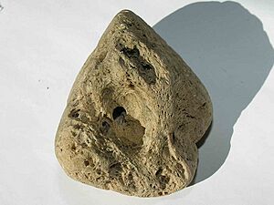 Archivo:Mineral Pumnita GDFL004