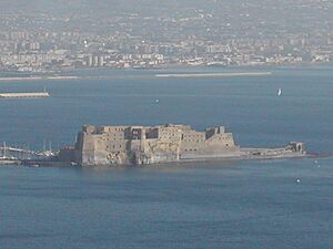 Archivo:Napoli castel dell ovo 020106 01