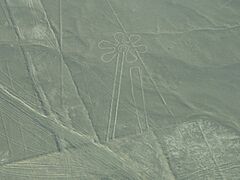 Nazca lines fiore, Nasca