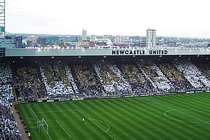 Archivo:Newcastle Utd v Celtic - Alan Shearer Testimonial (4)