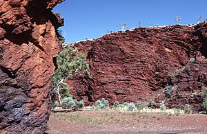 Archivo:Newman, Pilbara, Western Australia
