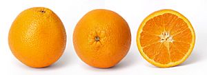 Archivo:Orange and cross section