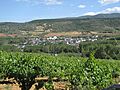 Panoramica de albares