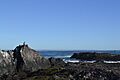 Parque Interjurisdiccional Marino Isla Pingüino, Puerto Deseado