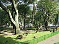 Parque de Bolivar-Medellin(1)