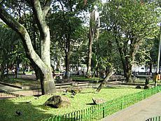 Archivo:Parque de Bolivar-Medellin(1)
