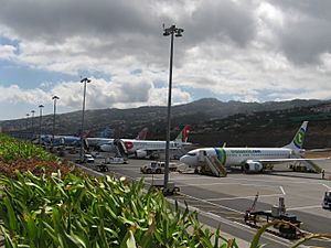 Archivo:Planes on Madeira Airport
