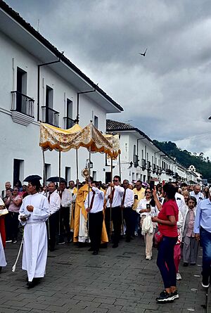 Archivo:Procesión Corpus Christi Popayán 2025 - Calle Real de San Francisco