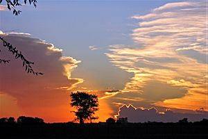 Archivo:Progreso (Santa Fe)-Campo crepúsculo-2008