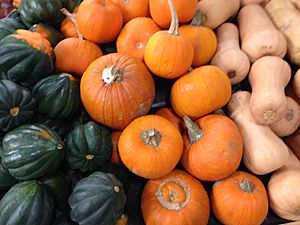 Archivo:Pumpkins and Squash Display