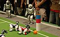 QRIO watch AIBOs at Robocup
