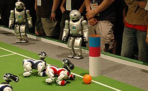 Archivo:QRIO watch AIBOs at Robocup