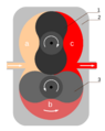 Rotary piston pump