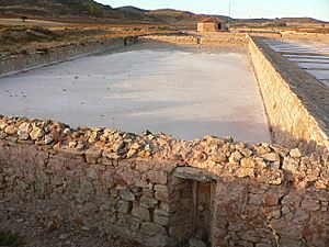 Salinas de Imón.jpg