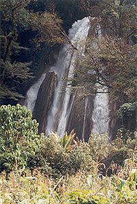 Archivo:San Juan Cotzal - cataratas