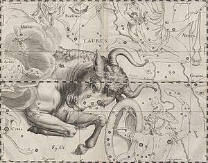 Archivo:Taurus - Prodromus astronomiae 1690 (5590444)