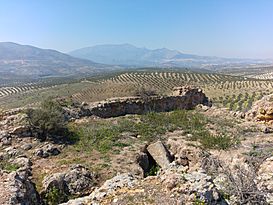 Torre Bermeja Mancha Real01.jpg