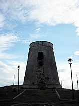 Torre de lagos (4)