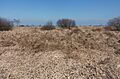 Tussen Belle Croix en Baraque Michel, hoogveen-panorama foto8 2017-03-28 12.21