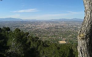 Archivo:Vistas de Murcia desde la Cresta del Gallo