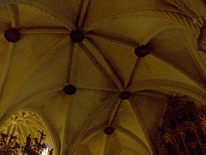 Archivo:Voltes de la catedral d'Oriola