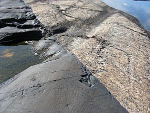 Archivo:Yttre Ursholmen Kontakt Kosterdiabas i Nebulitisk-migmatitisk sedimentgnejs
